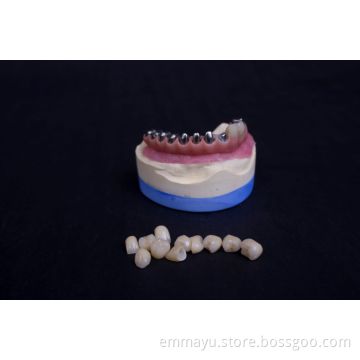Zirconia Implant Porcelain Teeth